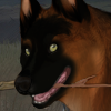 custom by #5983: Who could that fine husky be?